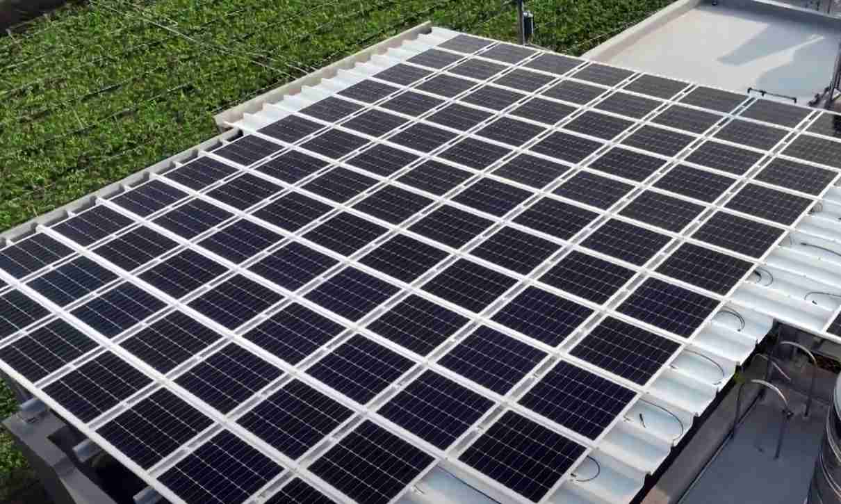 人生就是博SunSteel光电浪板升级双玻结构，，以提升机械负载强度及气候耐候度，，，可广泛运用于多元场域