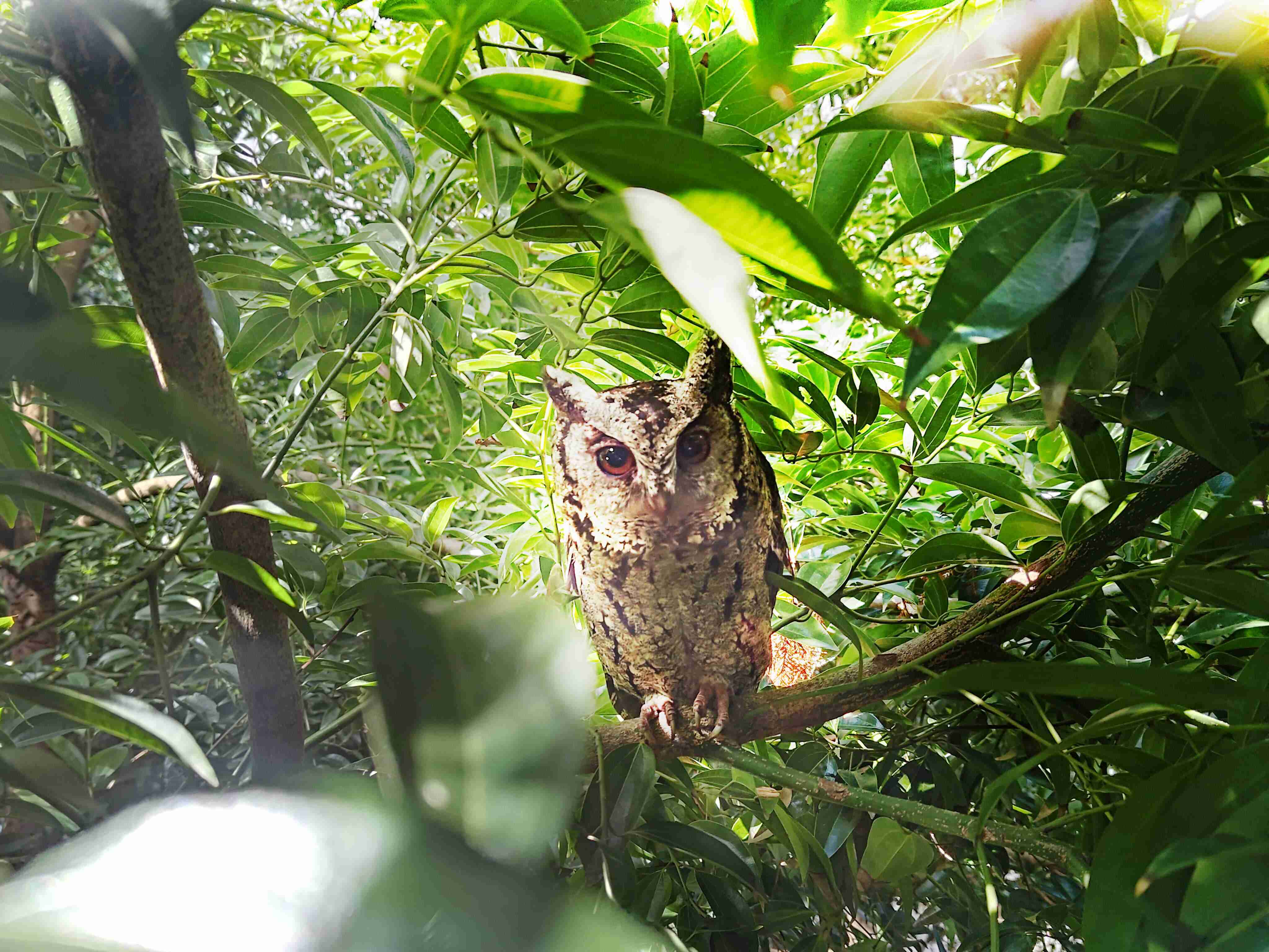 人生就是博致力提倡净零绿生活，，，16年以来在全球各厂区植树逾百万棵，，，，造就各厂区树木蔚然成林，，，，犹如森林工厂，，，成为许多生物的栖息地